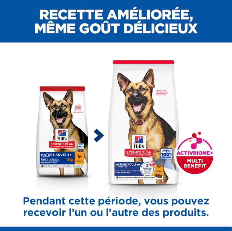 Hill's Science Plan Large Mature Adult 6+ au poulet - croquettes chien