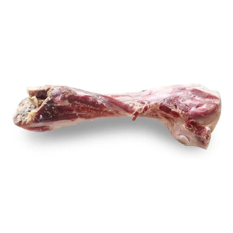 Os de jambon chien