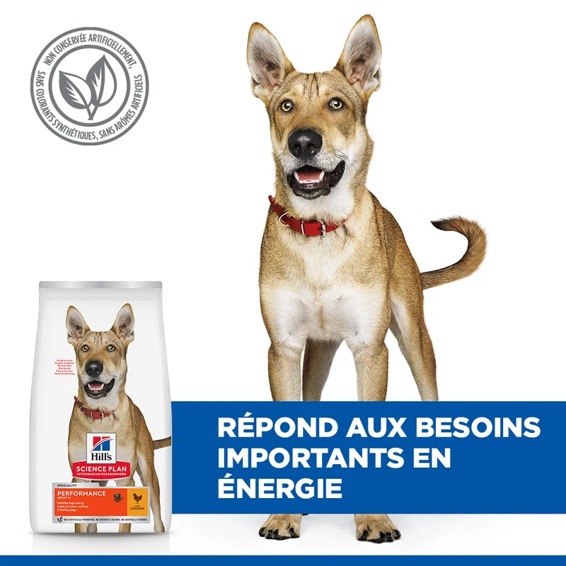 HILL'S Science Plan Performance All Breed Adult au Poulet - Croquettes pour chien
