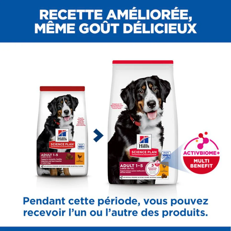 Hill's Science Plan Large Adult au poulet - croquettes chien