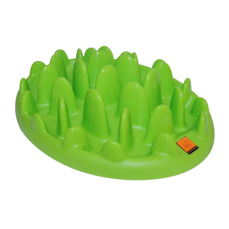 Gamelle anti-glouton Northmate Green chien