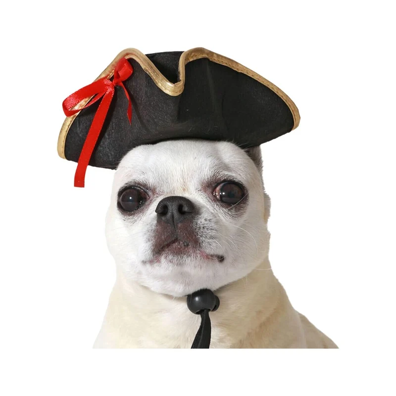 déguisement pour chien Noir Chapeau