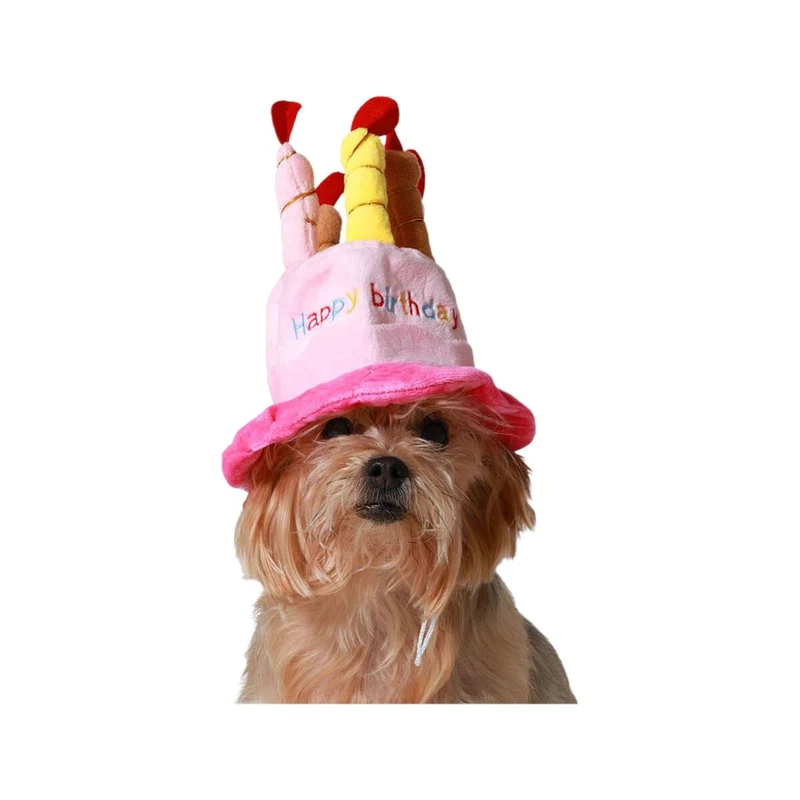 déguisement pour chien Rose Chapeau Anniversaire