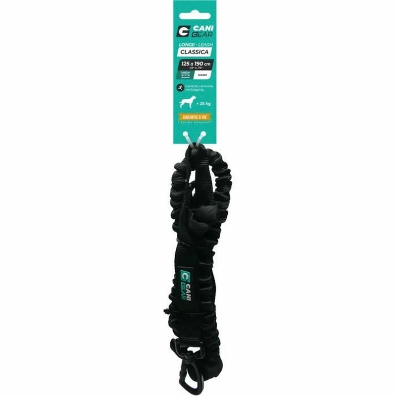 Laisse pour Chien Noir