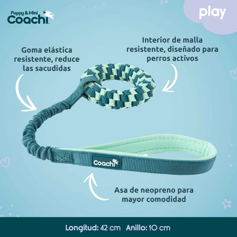Harnais pour Chien Coachi