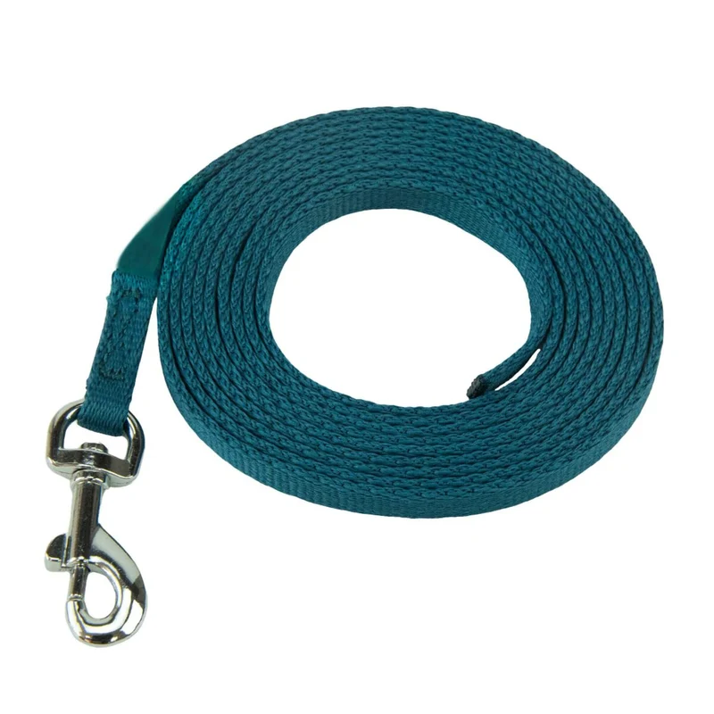 Harnais pour Chien Coachi