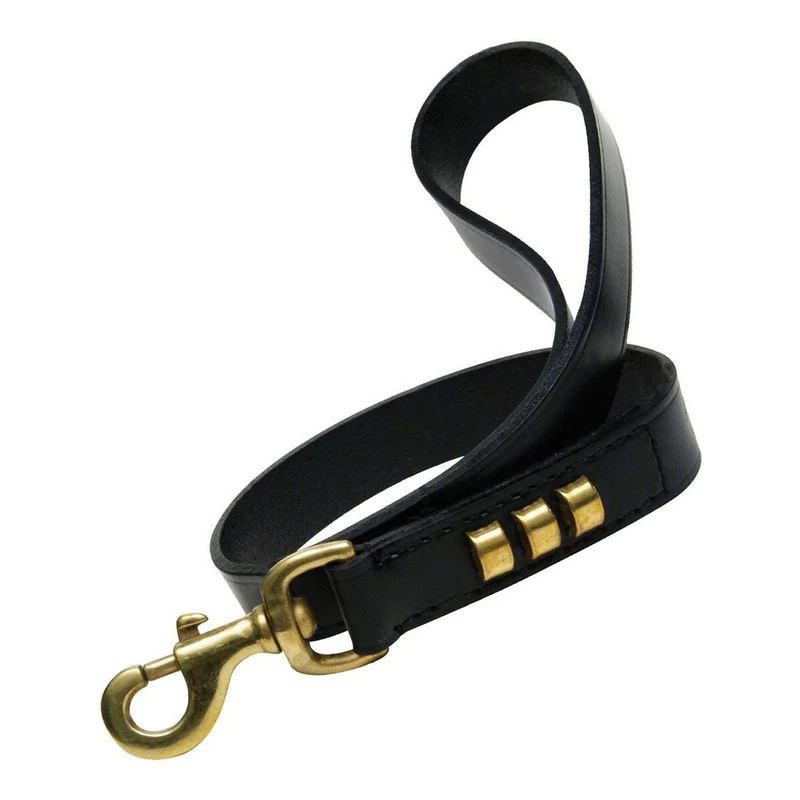 Laisse pour Chien Gloria Duna 2,5 x 60 cm Noir