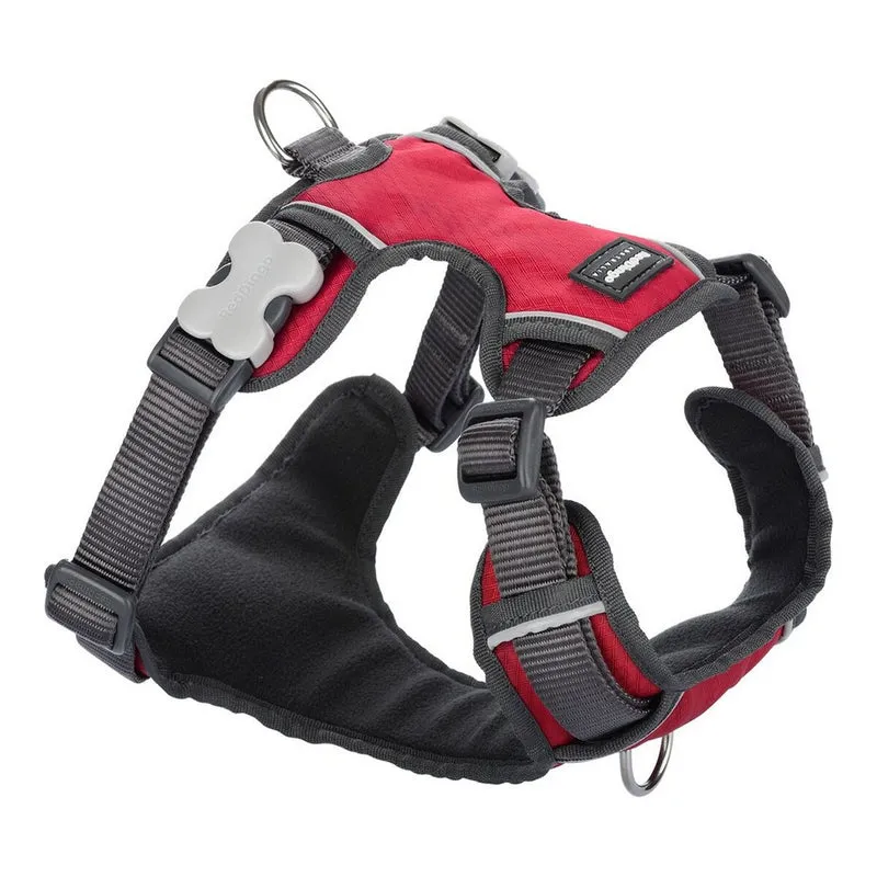 Harnais pour Chien Red Dingo Rembourré Rouge Taille XS (poitrail 31 à 43 cm)