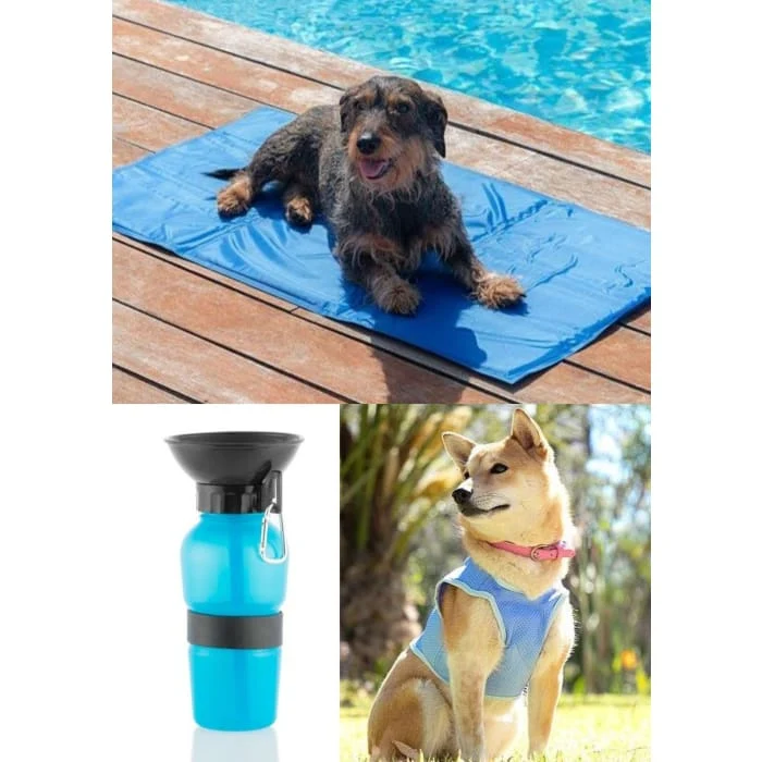 Pack spécial été ( Lot de 3 articles )