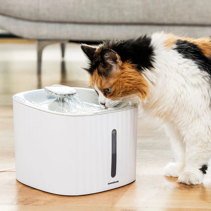 Fontaine à eau pour chien et chat