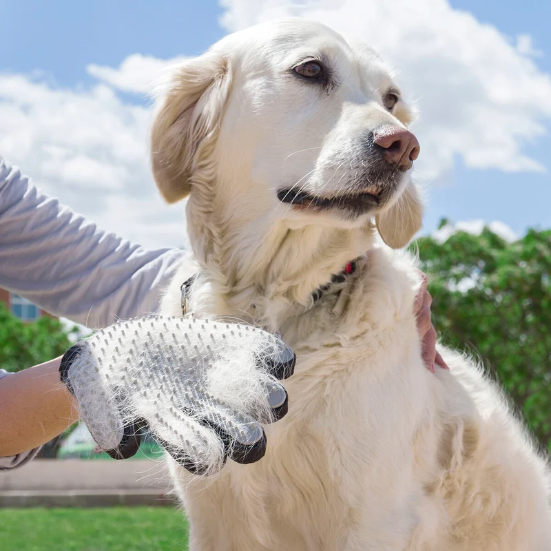 Gant de brossage "Crazy"