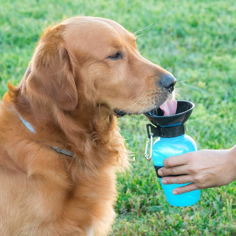 Gourde " Hedda" pour chien