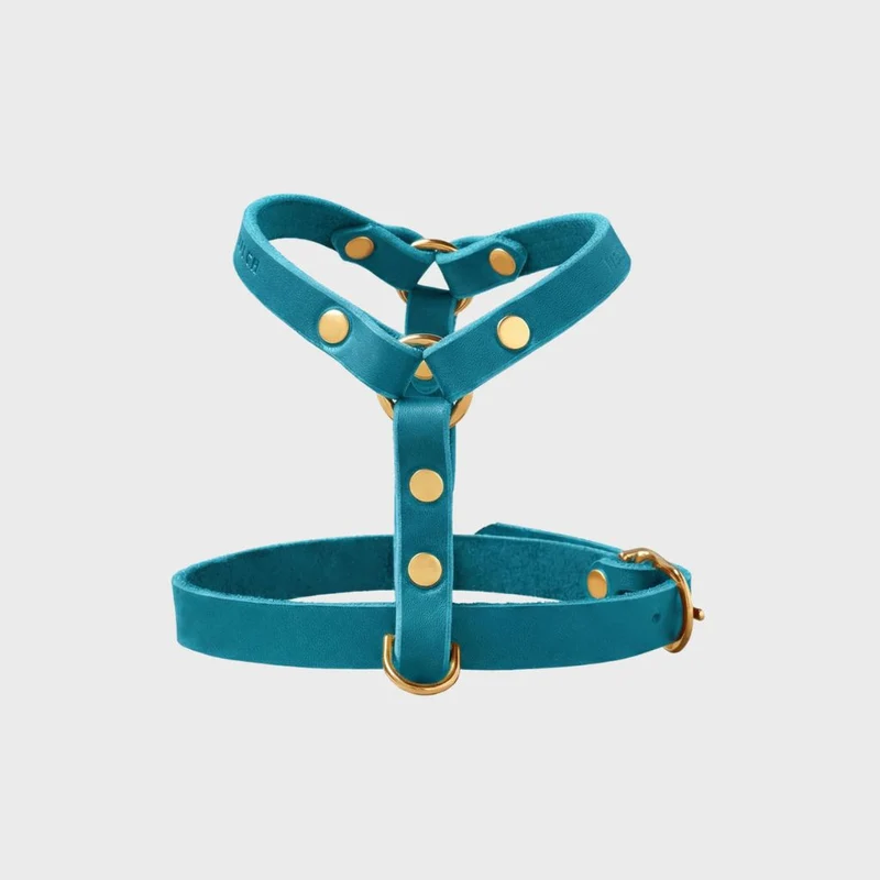 Sellerie Teckel Harnais en Y Cuir Butter Fiji Bleu