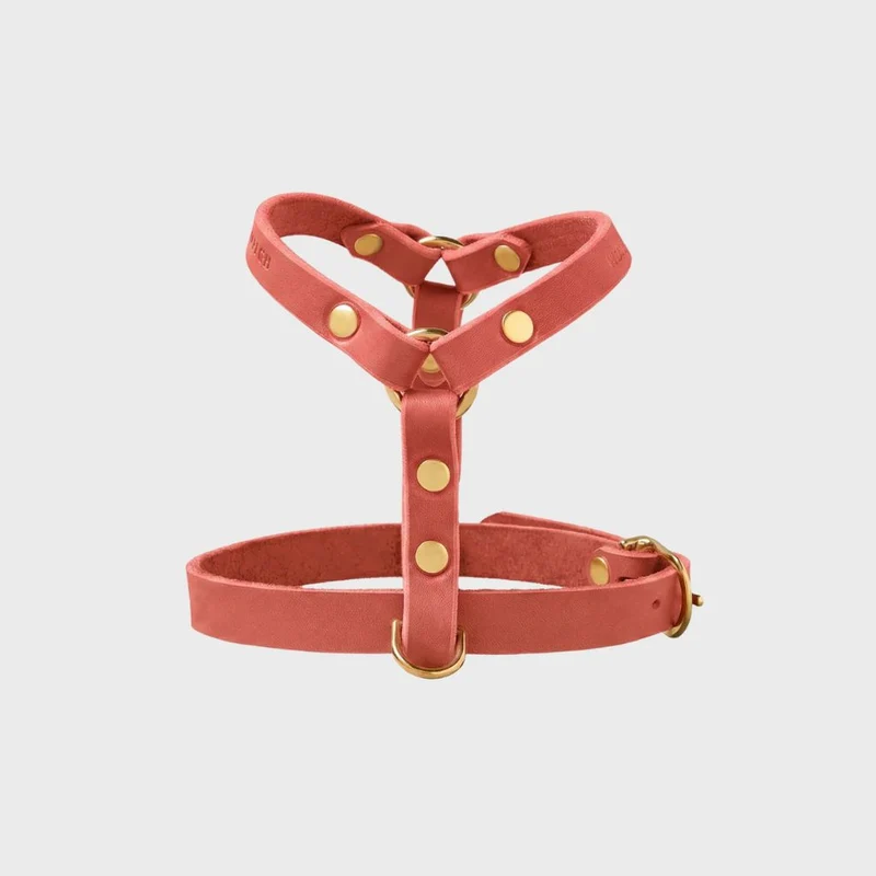 Sellerie Teckel Harnais en Y Cuir Butter Rose