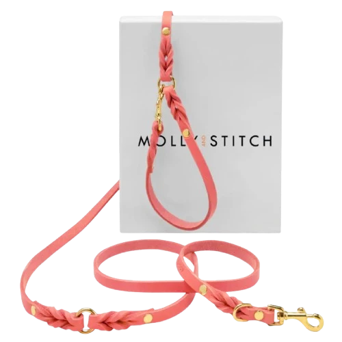 Sellerie Teckel Laisse Cuir Butter Rose X3 (ajustable)