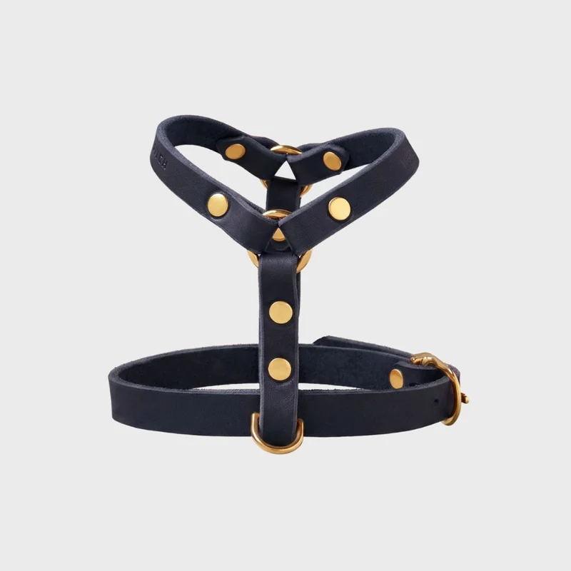 Sellerie Teckel Harnais en Y Cuir Butter Bleu