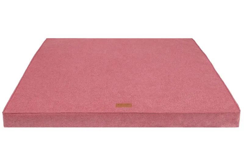 Lit Teckel Bliss Matelas Orthopédique