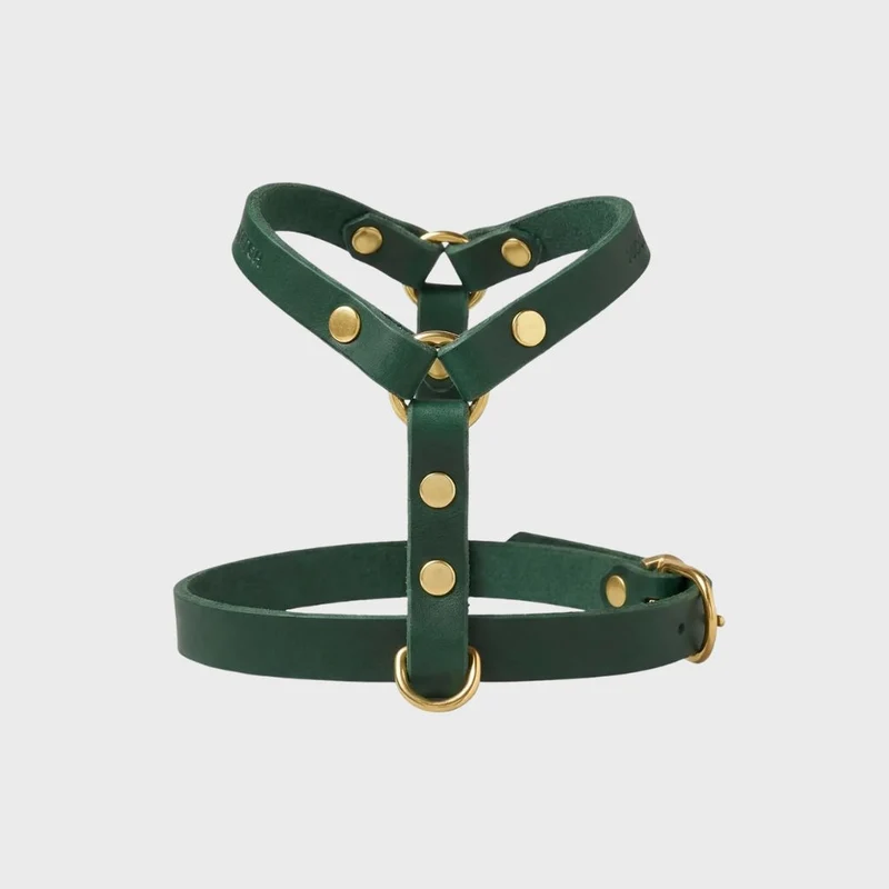 Sellerie Teckel Harnais en Y Cuir Butter Vert Foret
