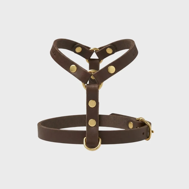 Sellerie Teckel Harnais en Y Cuir Butter Marron