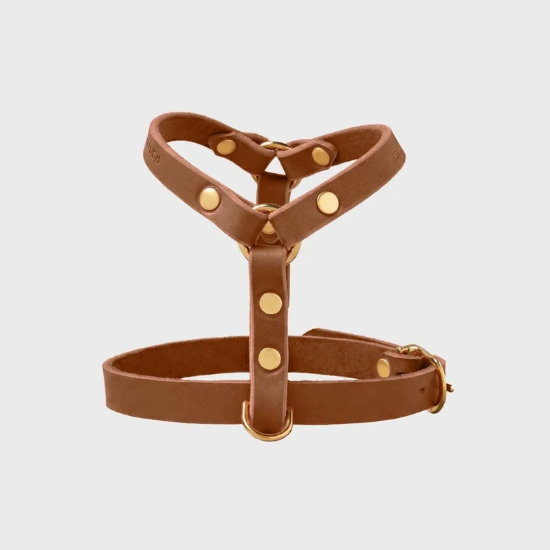 Sellerie Teckel Harnais en Y Cuir Butter Cognac