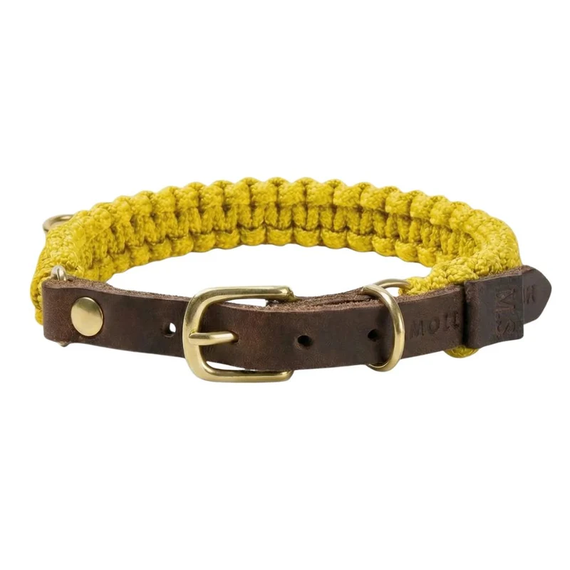 Sellerie Teckel Collier Touch Mediterranean Sun
