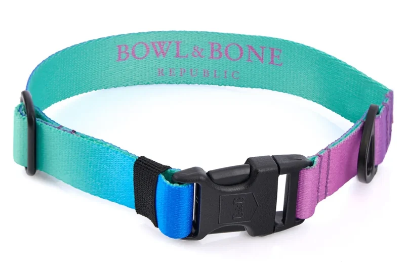Sellerie Teckel Collier Gradient Menthe & Mauve