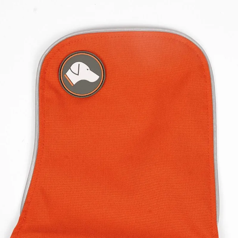 Vêtement Teckel Sangle Imperméable Citrouille