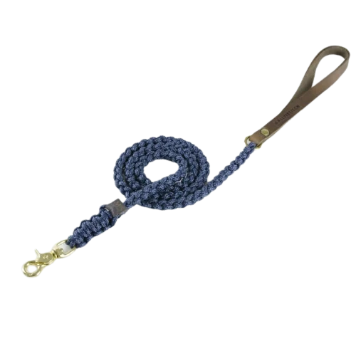 Sellerie Teckel Laisse Touch Bleu