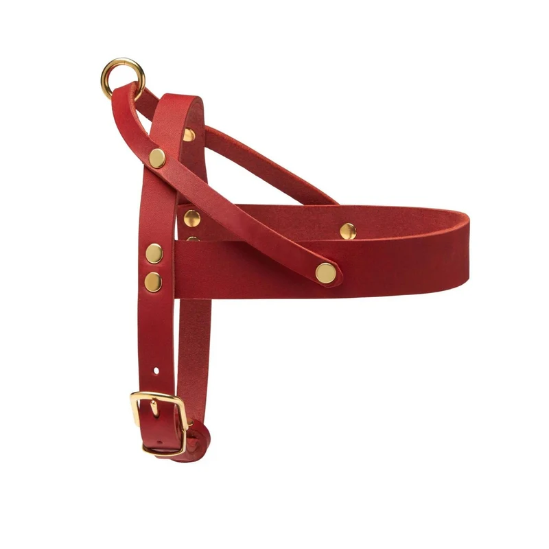 Sellerie Teckel Harnais en T Cuir Butter Rouge