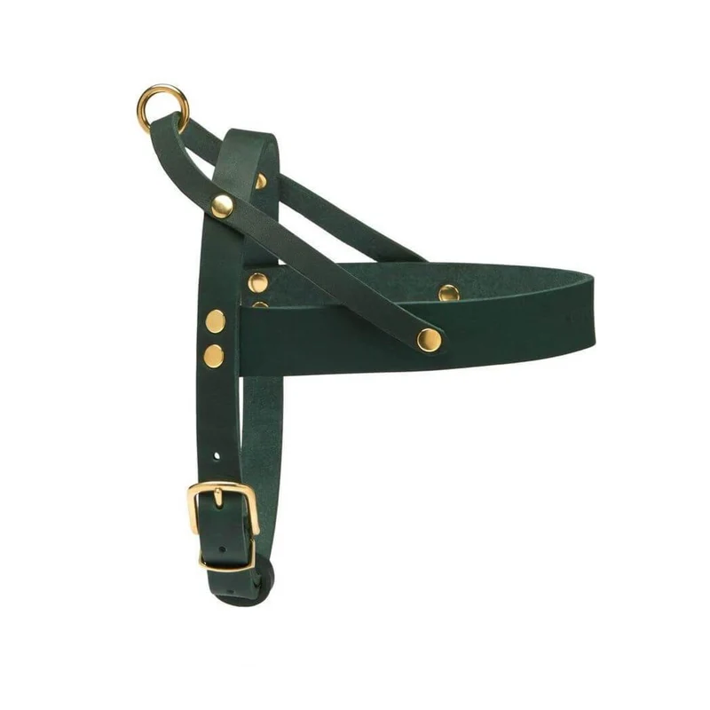 Sellerie Teckel Harnais en T Cuir Butter Vert Foret