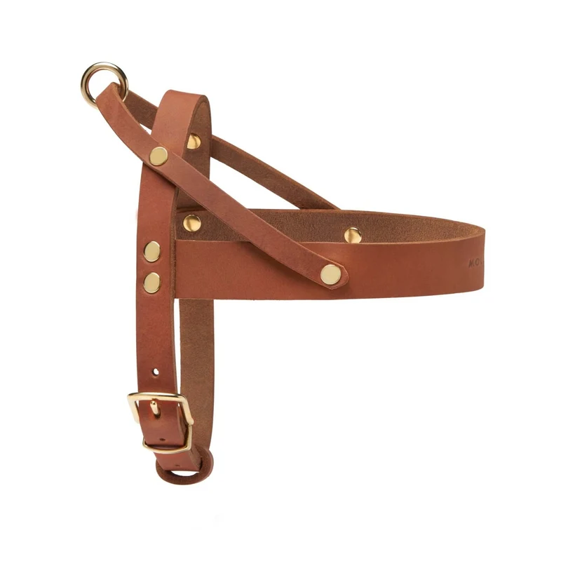 Sellerie Teckel Harnais en T Cuir Butter Cognac
