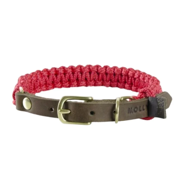Sellerie Teckel Collier Touch Rouge à Lèvres