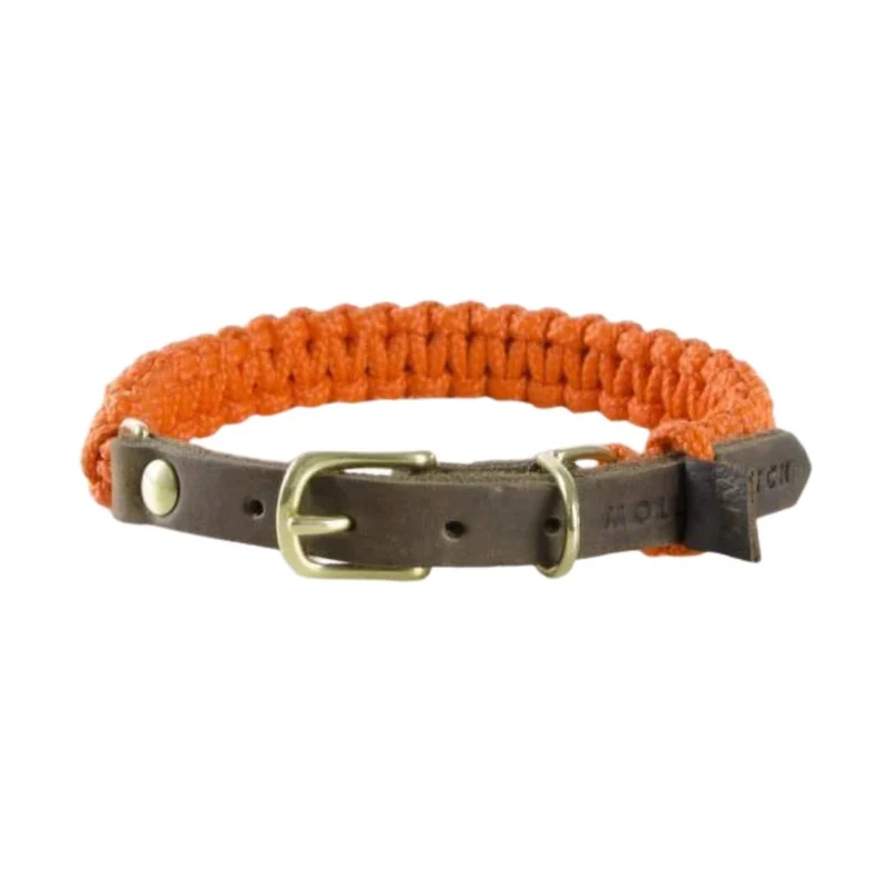 Sellerie Teckel Collier Touch Citrouille