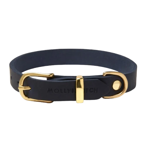 Sellerie Teckel Collier Cuir Butter Bleu