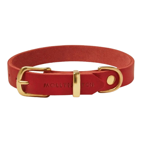 Sellerie Teckel Collier Cuir Butter Rouge