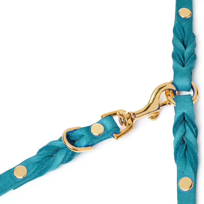 Sellerie Teckel Laisse Cuir Fiji Bleu X3 (ajustable)