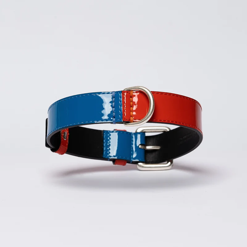Sellerie Teckel Collier Cuir Verni (rouge&bleu)