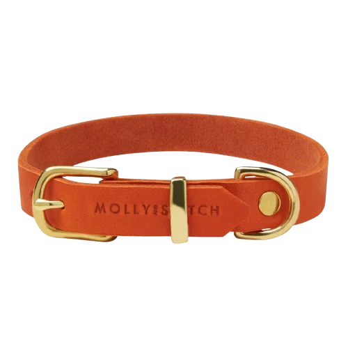 Sellerie Teckel Collier Cuir Butter Mangue