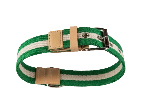 Sellerie Teckel Collier Tissu (vert&crème)