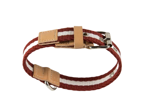 Sellerie Teckel Collier Tissu (bordeaux&crème)