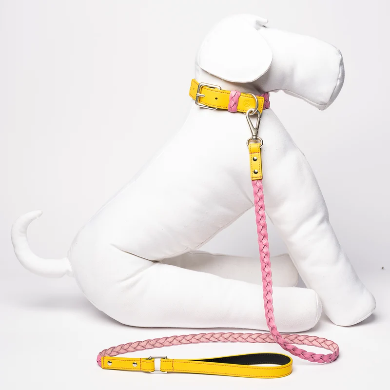 Sellerie Teckel Collier Cuir Tressé (rose&jaune)