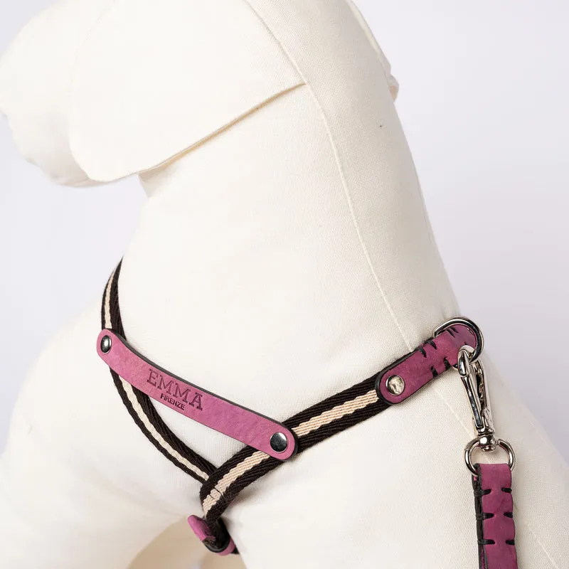 Sellerie Teckel Harnais Tissu & Nubuck (fuschia)