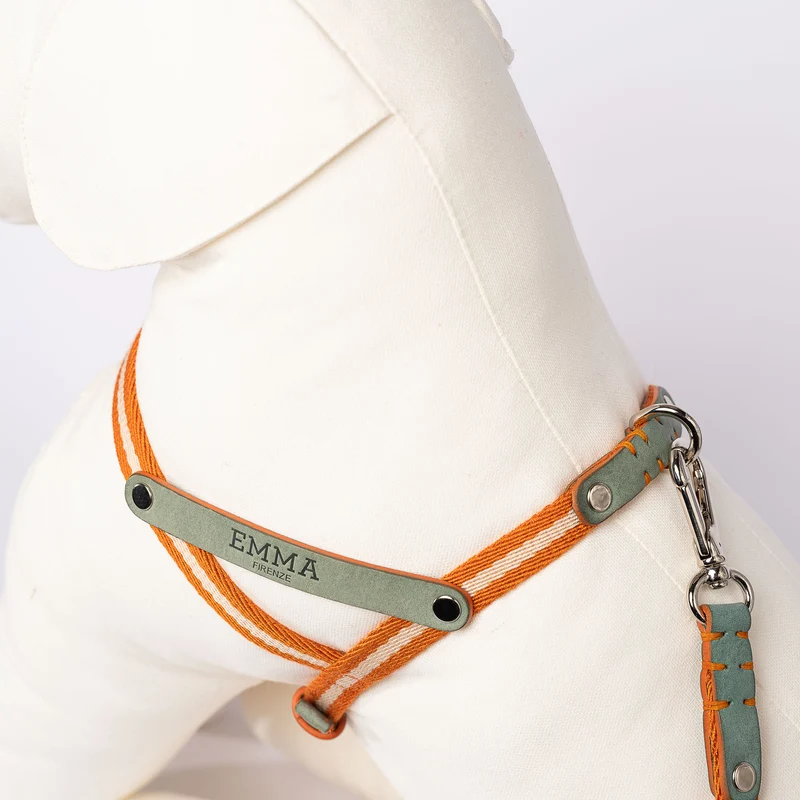 Sellerie Teckel Harnais Tissu & Nubuck (céleste)